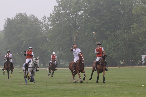 Polo_Art   105.jpg